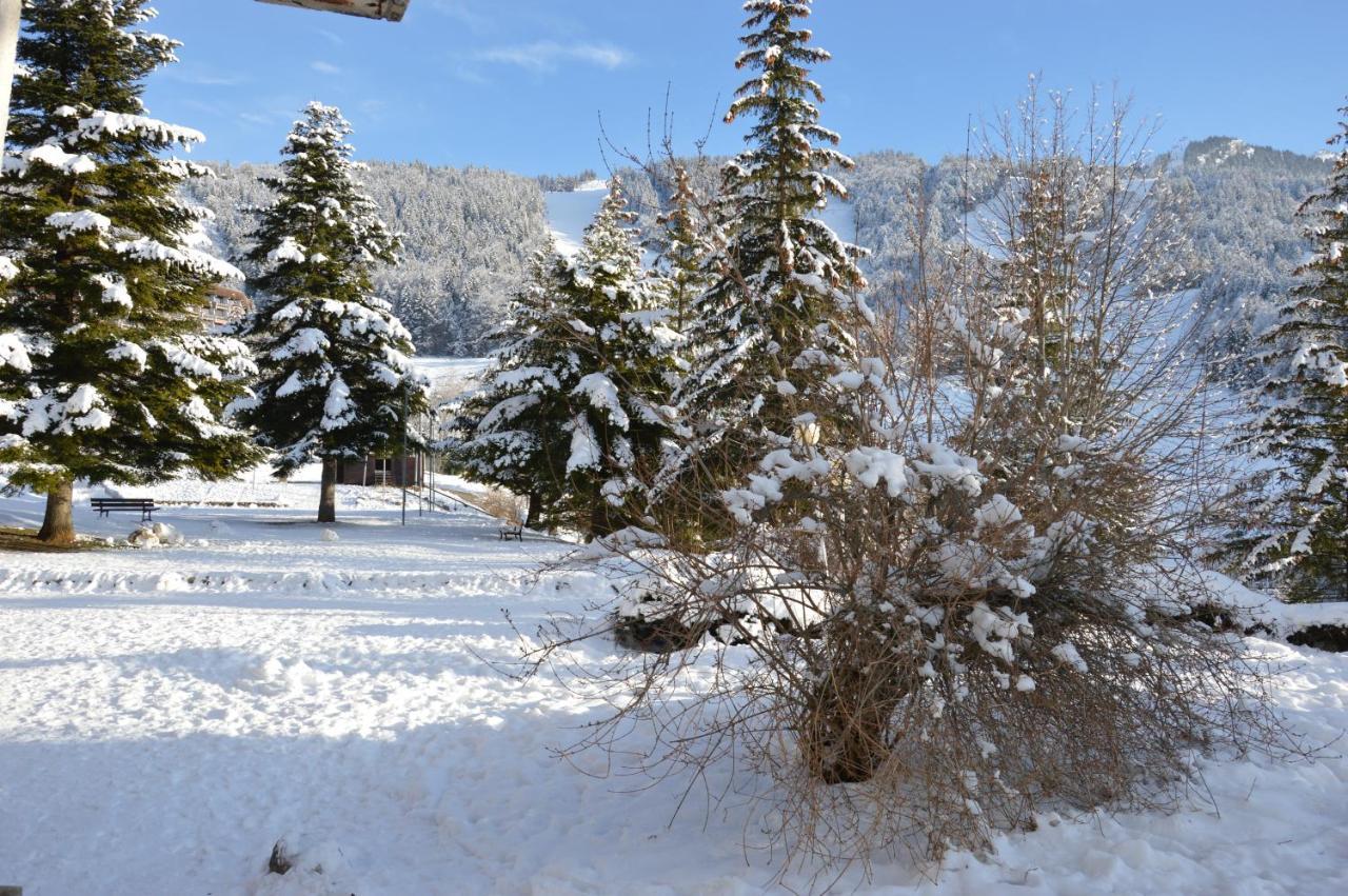 Villard De Lans Buitenkant foto
